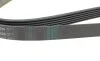 Ремінь генератора Opel Combo/Astra G 1.7DTi 01-/VW T4 2.0 90-03/Ford Mondeo 2.5 94-00 Contitech 6PK1590 (фото 3)