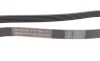 Ремінь генератора Opel Astra 1.7CDTi 03-/Renault Megane/Laguna 1.9-3.0 97-03/BMW 1 (E81/E87) 04-11 Contitech 6PK1605 (фото 2)