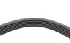 Ремінь генератора Opel Astra 1.7CDTi 03-/Renault Megane/Laguna 1.9-3.0 97-03/BMW 1 (E81/E87) 04-11 Contitech 6PK1605 (фото 3)