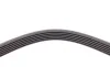 Ремень генератора VW Crafter 2.0TDI 11-16/Opel Corsa D 1.7CDTI 06-11/Ford Fiesta 1.8DI 00-03 Contitech 6PK1613 (фото 3)