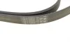 Комплект ремня генератора VW Crafter 2.0TDI 11-16 (6PK1613) Contitech 6PK1613K1 (фото 3)