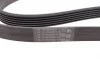 Ремінь генератора Opel Astra 1.7CDTI 04-10/ Subaru Tribeca 3.0-3.6 05-/ VW Passat 3.2 05-10 Contitech 6PK1623 (фото 2)