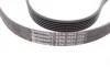 Ремінь генератора Opel Astra 1.7CDTI 04-10/ Subaru Tribeca 3.0-3.6 05-/ VW Passat 3.2 05-10 Contitech 6PK1623 (фото 3)