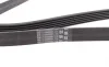 Ремінь генератора VW LT 2.8TDI 97-06/Ford Transit 2.2TDCi 11-14/Citroen Jumper 2.2HDi 11- Contitech 6PK1642 (фото 2)