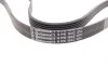 Ремінь генератора VW LT 2.8TDI 97-06/Ford Transit 2.2TDCi 11-14/Citroen Jumper 2.2HDi 11- Contitech 6PK1642 (фото 3)