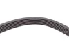 Ремінь генератора VW LT 2.8TDI 97-06/Ford Transit 2.2TDCi 11-14/Citroen Jumper 2.2HDi 11- Contitech 6PK1642 (фото 4)