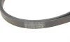 Комплект ремня генератора MB C-class (W205) 2.2D (OM651) 14-18 Contitech 6PK1642K3 (фото 3)