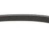 Комплект пасу поліклинового з насосом VW Caddy III Contitech 6PK1693WP1 (фото 2)