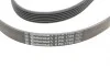 Ремень генератора Citroen Jumper 1.9TD 94-02 (ALT,PS,AC) Contitech 6PK1705 (фото 3)
