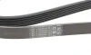 Ремень генератора Citroen Jumper 1.9TD 94-02 (ALT,PS,AC) Contitech 6PK1705 (фото 4)