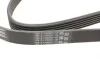 Ремень генератора Opel Astra J/Corsa D 1.7CDTI 09-15/Ford Focus 1.8TDCi 98-04 Contitech 6PK1715 (фото 3)