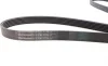 Ремень генератора Ford Connect 1.8 TDCI Contitech 6PK1720 (фото 2)