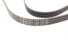 Ремень генератора VW Golf IV/Passat 1.4/1.6FSI 03-16/Toyota Auris/Avensis 1.4-1.8 03-12 Contitech 6PK1733 (фото 3)