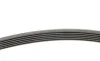 Ремінь генератора Peugeot 206/406/806/Expert/Fiat Scudo/Citroen C5/C8/Jumpy 1.9D/2.0HDI 95- Contitech 6PK1740 (фото 2)