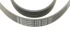 Ремінь генератора Peugeot 206/406/806/Expert/Fiat Scudo/Citroen C5/C8/Jumpy 1.9D/2.0HDI 95- Contitech 6PK1740 (фото 3)
