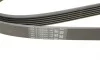 Ремінь генератора Peugeot 206/406/806/Expert/Fiat Scudo/Citroen C5/C8/Jumpy 1.9D/2.0HDI 95- Contitech 6PK1740 (фото 4)