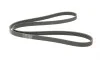 Ремінь генератора Peugeot 206/406/806/Expert/Fiat Scudo/Citroen C5/C8/Jumpy 1.9D/2.0HDI 95- Contitech 6PK1740 (фото 5)