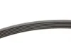 Ремень генератора Peugeot 206/306/4007/406/4007/Citroen C5 1.9TD/2.0/2.2HDI 96-/Ford Galaxy 2.2 08- Contitech 6PK1743 (фото 2)