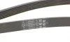 Ремень генератора Peugeot 206/306/4007/406/4007/Citroen C5 1.9TD/2.0/2.2HDI 96-/Ford Galaxy 2.2 08- Contitech 6PK1743 (фото 3)