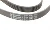 Ремень генератора Peugeot 206/306/4007/406/4007/Citroen C5 1.9TD/2.0/2.2HDI 96-/Ford Galaxy 2.2 08- Contitech 6PK1743 (фото 4)