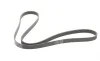 Ремень генератора Peugeot 206/306/4007/406/4007/Citroen C5 1.9TD/2.0/2.2HDI 96-/Ford Galaxy 2.2 08- Contitech 6PK1743 (фото 5)