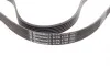Ремень генератора Renault Clio/Laguna/Megane 1.4/1.6 97-05/Ford Fiesta 1.25/1.4 95-02 Contitech 6PK1750 (фото 3)