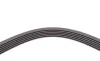 Ремень генератора Renault Clio/Laguna/Megane 1.4/1.6 97-05/Ford Fiesta 1.25/1.4 95-02 Contitech 6PK1750 (фото 4)