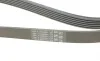 Ремінь генератора VW T4 2.4D/2.5TDI 90-03/Ford Fiesta 1.25-1.6 95-02 Contitech 6PK1767 (фото 3)