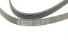 Ремінь генератора VW T4 2.4D/2.5TDI 90-03/Ford Fiesta 1.25-1.6 95-02 Contitech 6PK1767 (фото 4)
