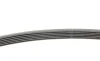 Ремень генератора Ford Transit 2.0/2.3 91-00/MB C-class (W202)/E-class (W210)/SLK (R170) 95-04 Contitech 6PK1775 (фото 2)