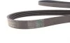 Ремень генератора BMW 3 (E90) 3.2D 07-11/ Ford Transit 2.13 16V/Renault Laguna 2.2 dCi 01- Contitech 6PK1780 (фото 3)