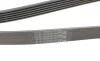 Ремінь генератора Opel Combo/Astra/Vectra/Omega 1.2-2.2 91-03/BMW 1 (E81/E87) 2.0D 04-11 Contitech 6PK1800 (фото 3)