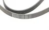 Ремінь генератора Opel Combo/Astra/Vectra/Omega 1.2-2.2 91-03/BMW 1 (E81/E87) 2.0D 04-11 Contitech 6PK1800 (фото 4)