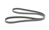 Ремінь генератора Opel Combo/Astra/Vectra/Omega 1.2-2.2 91-03/BMW 1 (E81/E87) 2.0D 04-11 Contitech 6PK1800 (фото 5)