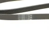 Ремінь генератора Renault Trafic 1.9dCi 01-/Opel Insignia 2.0CDTi 14-/Honda Civic 1.3 06- Contitech 6PK1830 (фото 4)