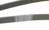 Ремень генератора Ford Mondeo IV 2.0TDCI 07-15/Volvo S80/V70 2.0D/TDi 07-15 Contitech 6PK1845 (фото 3)