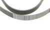 Ремень генератора Ford Mondeo IV 2.0TDCI 07-15/Volvo S80/V70 2.0D/TDi 07-15 Contitech 6PK1845 (фото 4)
