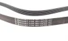Ремень генератора Ford Mondeo 2.0TDCi 07-15/Opel Astra J/Insignia A 2.0CDTI 09-17 Contitech 6PK1847EXTRA (фото 2)