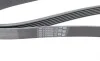 Ремень генератора Audi A4/A6 2.4 97-05/Jeep Cherokee 2.5 86-90 Contitech 6PK1856 (фото 3)