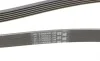 Ремень генератора Toyota Corolla 1.6/1.8 04-09/BMW 3 (E46/E90)/X1 (E84) 1.6/2.0 01-15 Contitech 6PK1870 (фото 3)