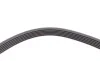 Ремень генератора Audi A4/A6/A8/Chevrolet Aveo/Skoda Fabia/Rapid 00- Contitech 6PK1873 (фото 3)