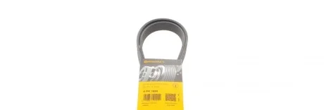 Ремень генератора Audi A4/A6/A8 2.4/2.6/2.8 95- Contitech 6PK1880