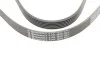 Ремень генератора VW T4 2.0i 91-03/Opel Vectra 2.2 98-05/Toyota Avensis 1.6/1.8 00-03 Contitech 6PK1900 (фото 4)