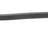 Пас поліклиновий Opel Vectra B 2.2DTI 00-02/Audi 1 Contitech 6PK1905 (фото 2)