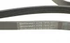 Ремень генератора Ford Focus 1.4/1.6 16V 98-04 Contitech 6PK1915 (фото 4)
