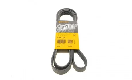 Ремінь генератора Ford Focus 1.4/1.6 16V 98-04 Contitech 6PK1915