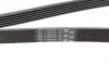 Ремень поликлиновый FORD TOURNEO CONNECT 1.8 16V 06/02-12/13 (Выр-во ContiTech) Contitech 6PK1973 (фото 3)