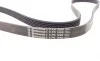 Ремень генератора BMW 3 (E90)/5 (E60)/7 (E65/E66/E67)/X5 (E70) 04-11 Contitech 6PK1990 (фото 3)