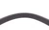 Ремень генератора BMW 3 (E90)/5 (E60)/7 (E65/E66/E67)/X5 (E70) 04-11 Contitech 6PK1990 (фото 4)