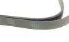 Ремень генератора VW Crafter 2.5TDI 06-13/MB C-class (W204)/E-class (W212) 2.2CDI 09-15 Contitech 6PK2000 (фото 3)